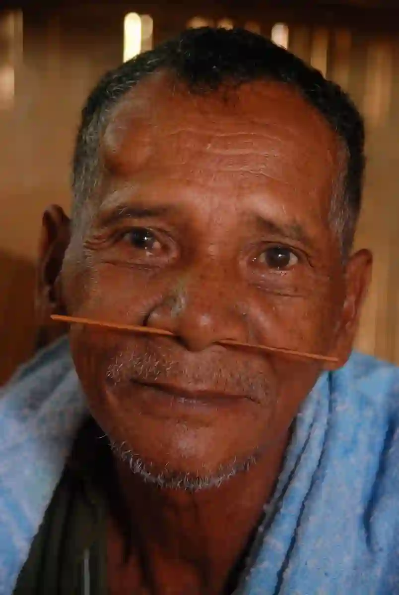 A Semai man with nose quill.